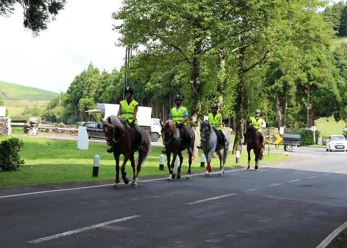 Quinta Do Malhinha- Turismo Chalet *