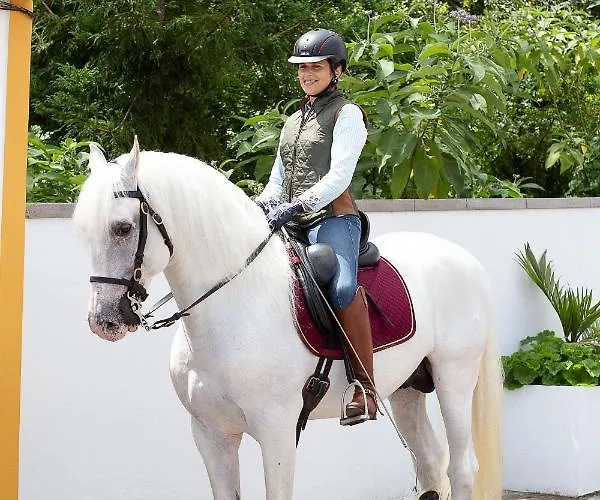 Chalet Quinta Do Malhinha- Turismo *