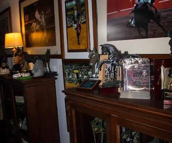 Quinta Do Malhinha- Turismo Chalet Angra do Heroísmo