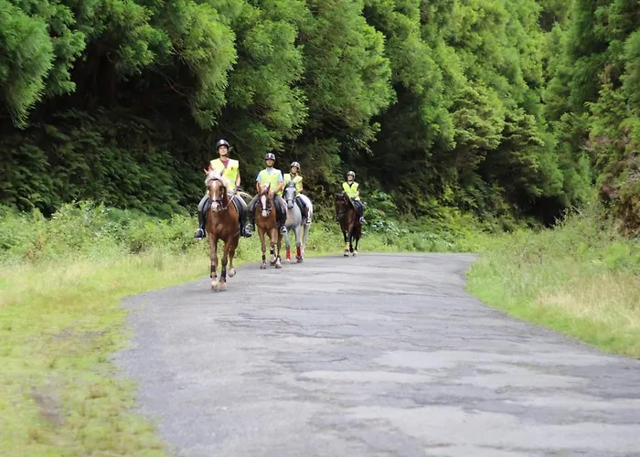 Quinta Do Malhinha- Turismo Chalet *