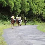Quinta Do Malhinha- Turismo Chalé *