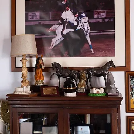 Quinta Do Malhinha- Turismo *