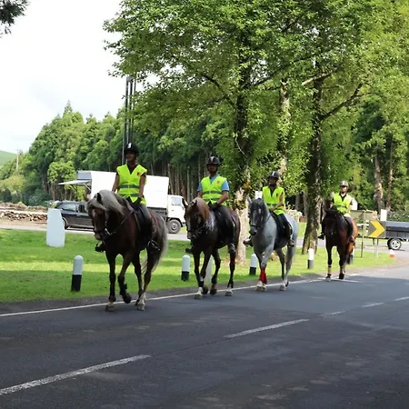 Quinta Do Malhinha- Turismo Σαλέ *