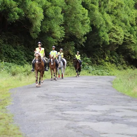 Quinta Do Malhinha- Turismo Domek alpejski *