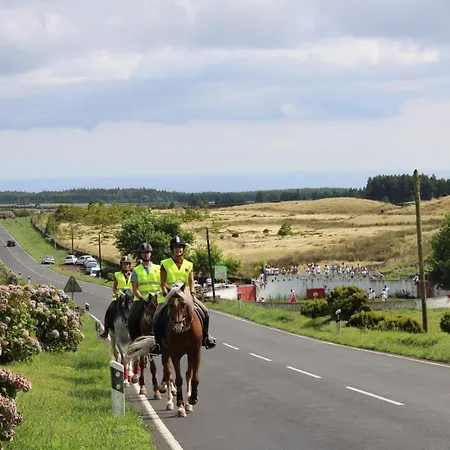 Quinta Do Malhinha- Turismo Angra do Heroísmo